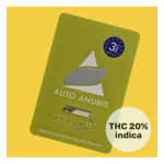 Auto Anubis - Pyramid Seed - Imagen 2