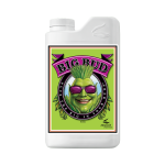 Big bud