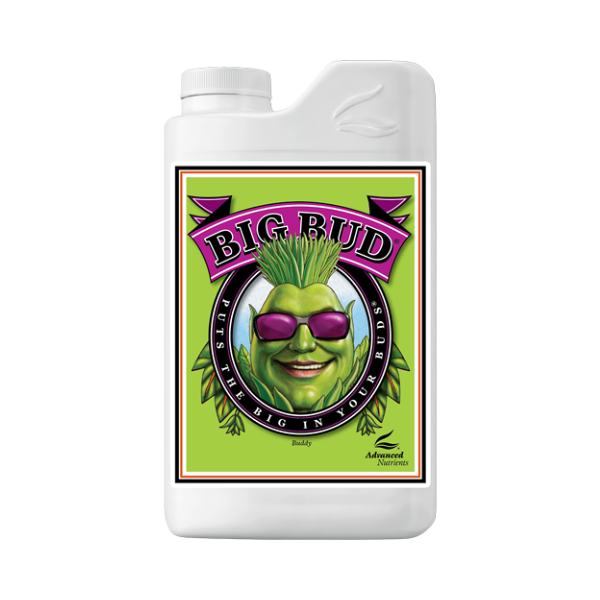 Big bud