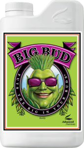 Big bud