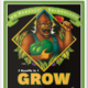 PH Perfect Grow 500ml