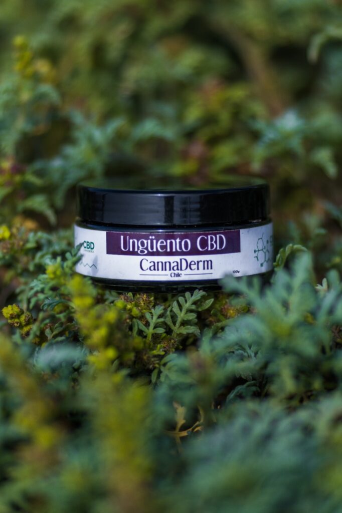 Ungüento CBD - CannaDerm 100g