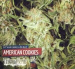 American Cookies