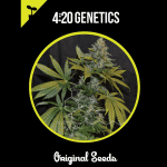 Moby dick 420