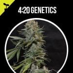 Northern Lights Auto 420