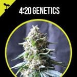 Power Plant 420