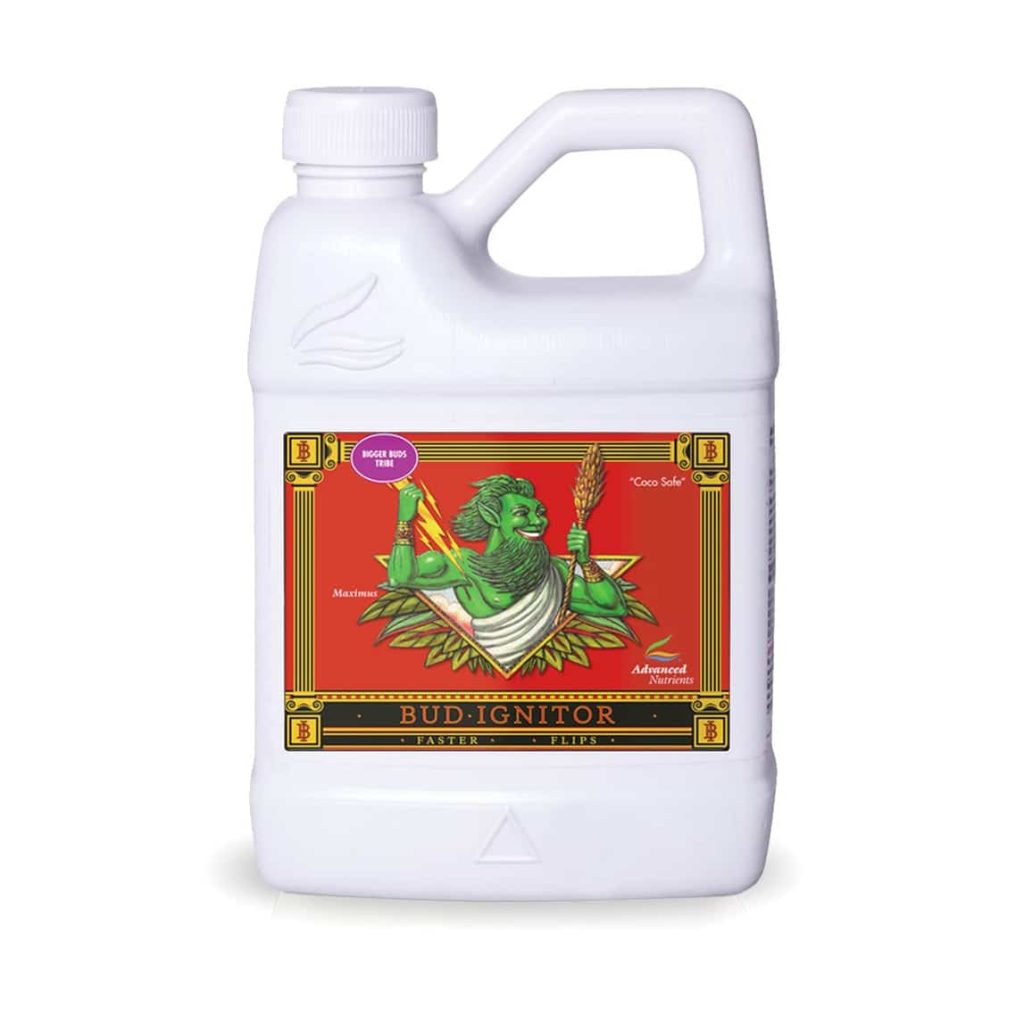 Bud Ignitor