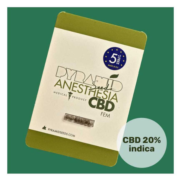 Anesthesia CBD