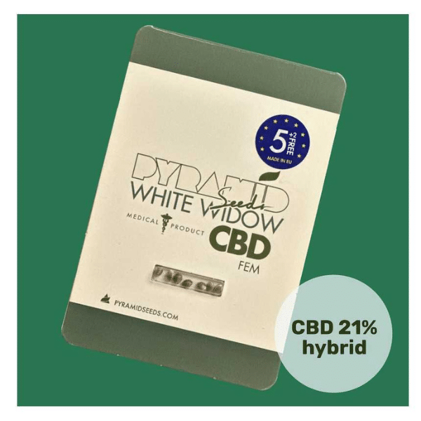 white widow cbd de pyramid seeds