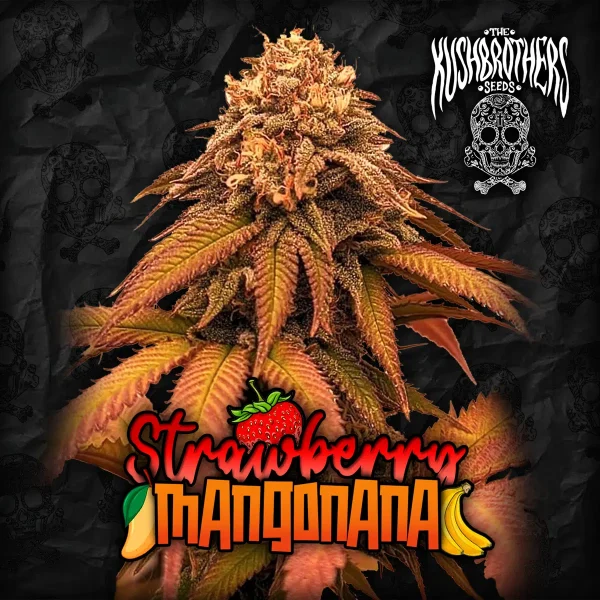 Strawberry Mangonana