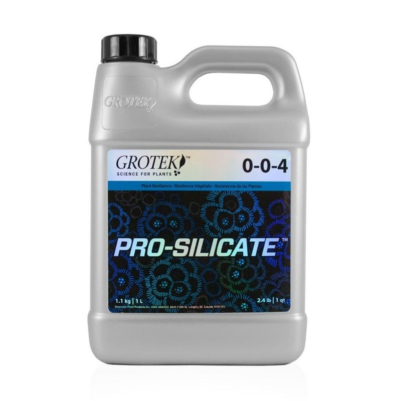 Pro Silicate 1L