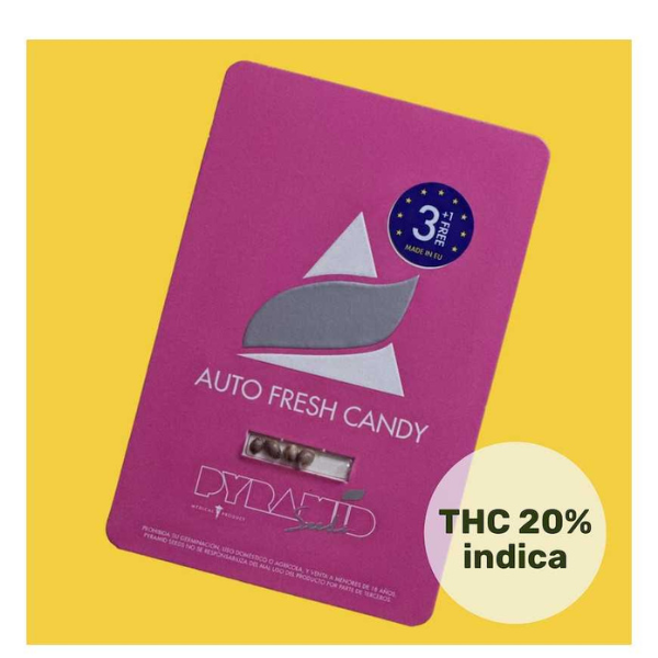 auto fresh candy