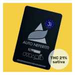 auto nefertiti