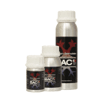 Bloom stimulator de bac