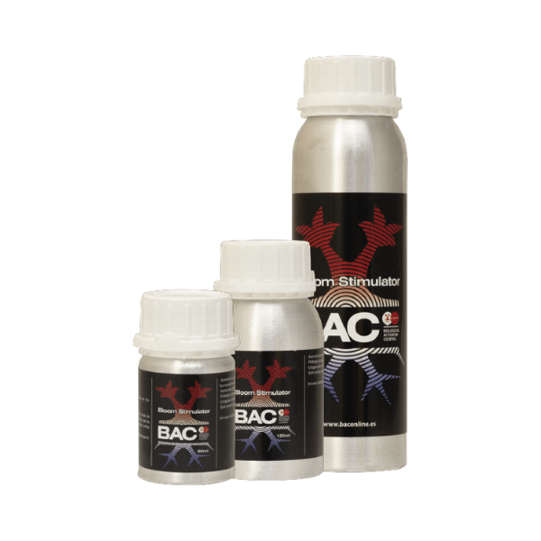 Bloom stimulator de bac