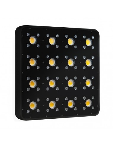 Led Apollo Evolution Pro 16 480watt