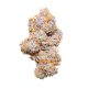 Purple punch automatic