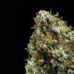 Shining silver haze