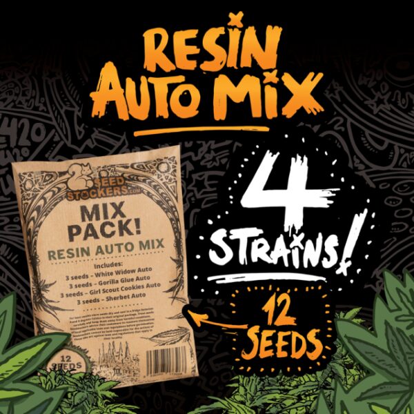 Mix Pack Resin auto Mix (12)