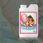 Bud candy