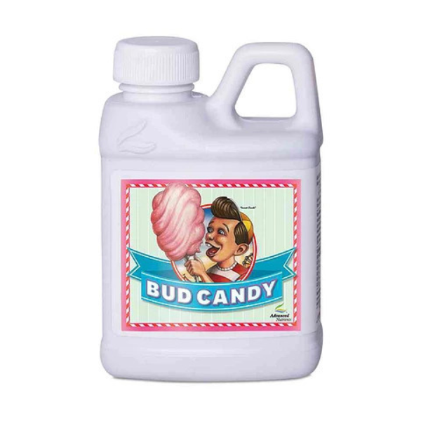 Bud candy