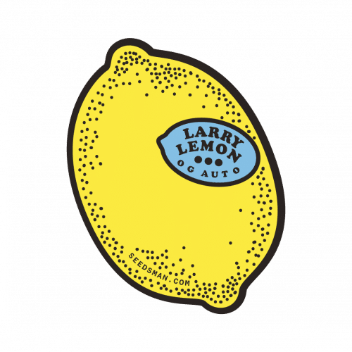 Larry Lemon OG Auto (x3)