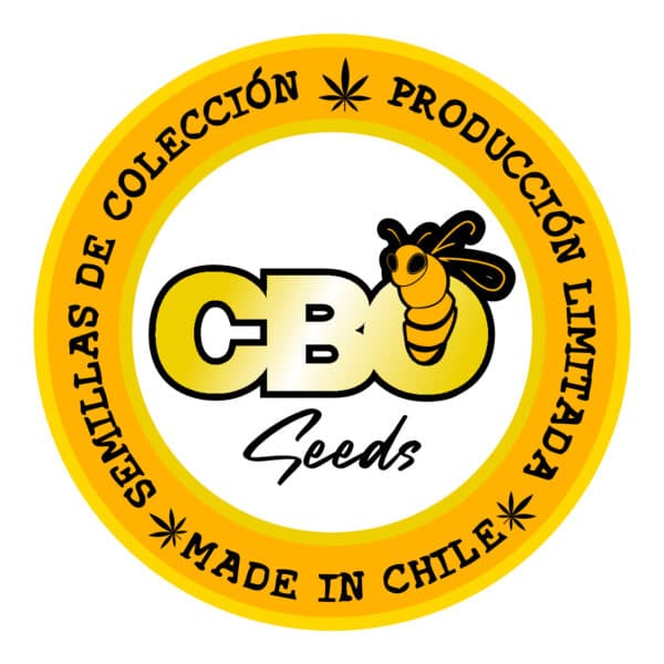 CBO Seeds