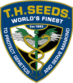 TH Seeds