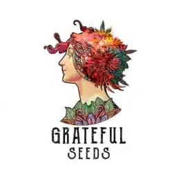 grateful seeds