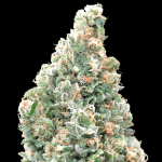 Cherry pie fast