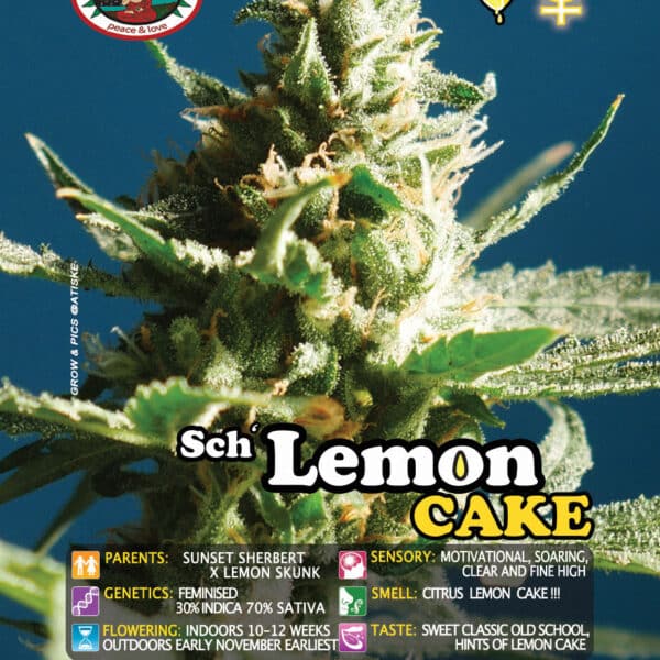 Lemon Cake