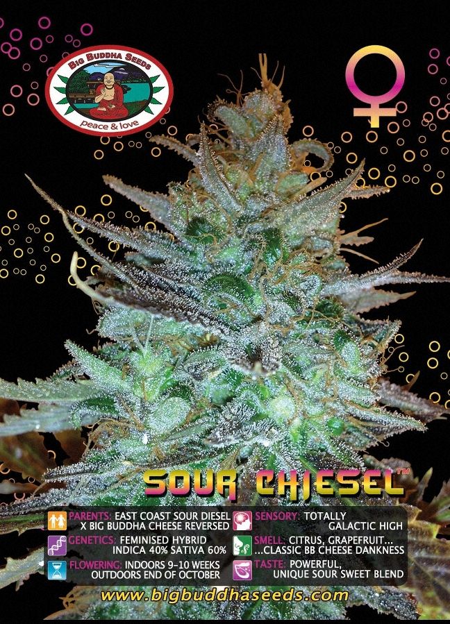 Sour CHIESEL