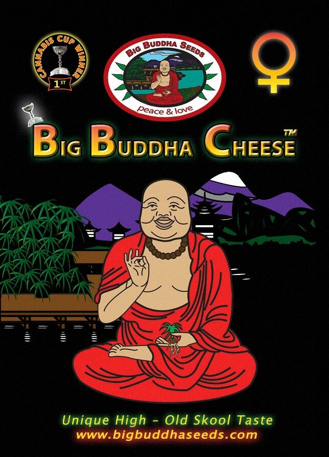 Big Buddha Cheese