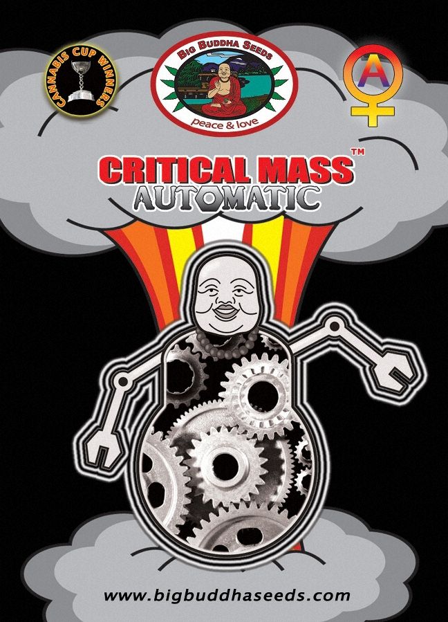 Critical Mass AUTOMATIC