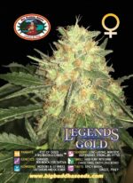 Legends Gold