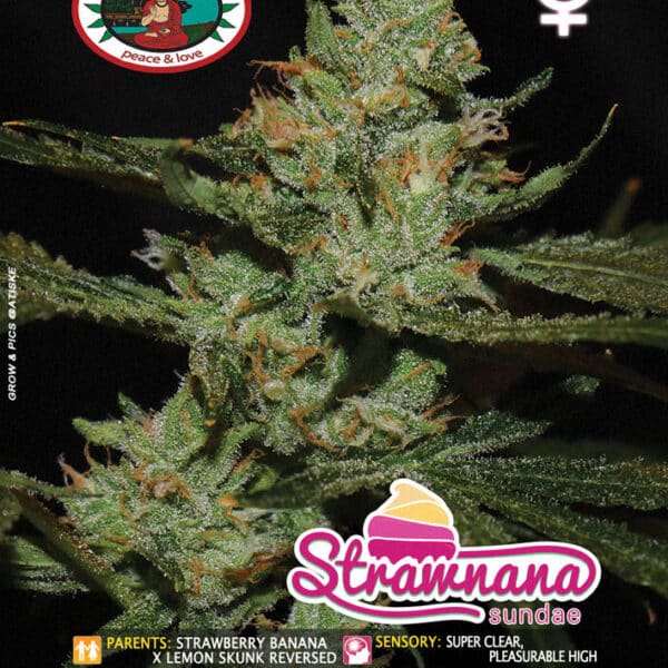 Strawnana Sundae