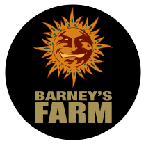 Barneys_Farm_logo