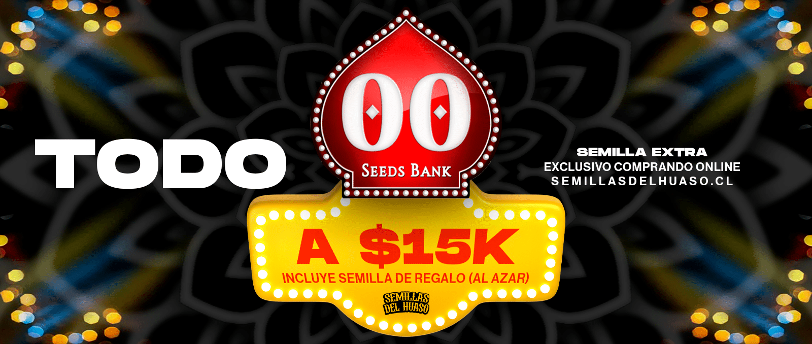 00 Seeds