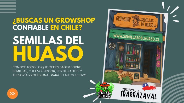 Growshop en chile - Semillas del huaso