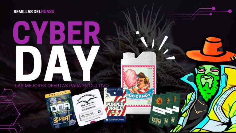 CYBERDAY