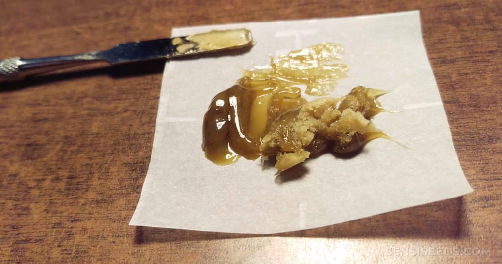 ROSIN - SEMILLAS DEL HUASO