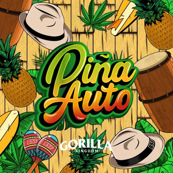 Gorilla Piña Auto