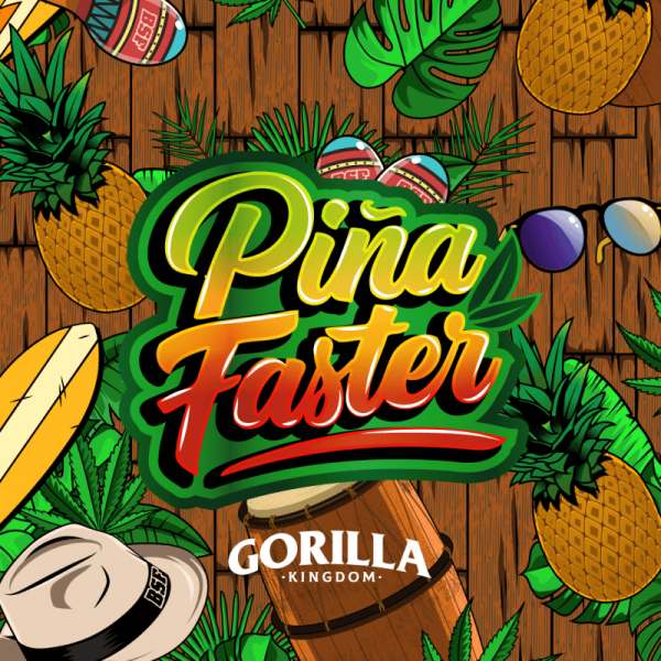 Gorilla Piña Faster