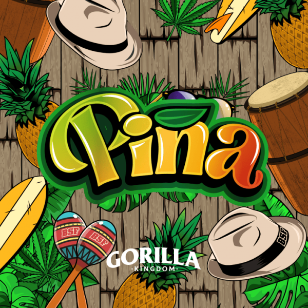 Gorilla piña