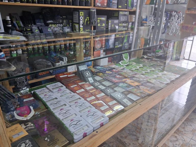 Grow shop Santa Cruz - Semillas del huaso 1