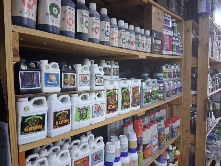 Grow shop Santa Cruz - Semillas del huaso 6