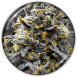 Medical donuts
