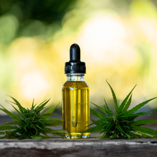 Aceite de marihuana