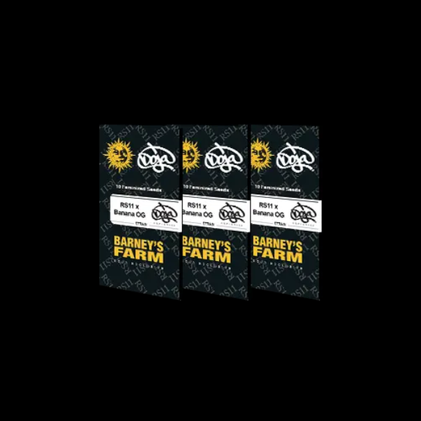 1 RS11 X Banana OG Fem (x3) - Barney's Farm ft Doja Exclusive - Imagen 8