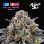 Artic Cherries - Perfect Tree